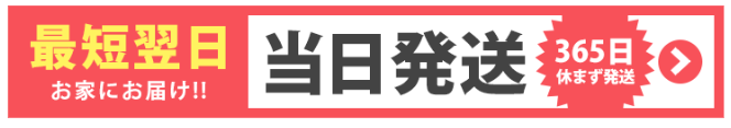 当日発送の案内広告