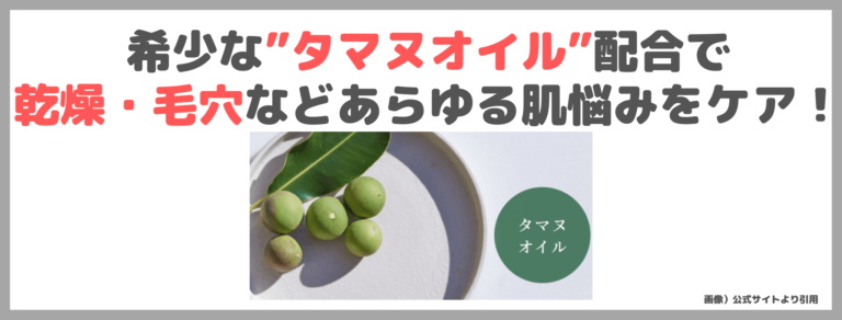 タマヌオイルの植物の画像