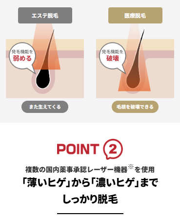 毛根のイラスト