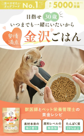 ドッグフードの画像