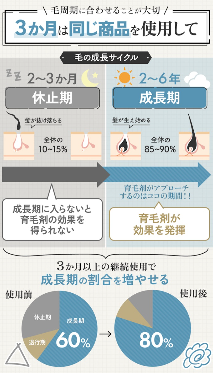 毛の育毛サイクルの表示