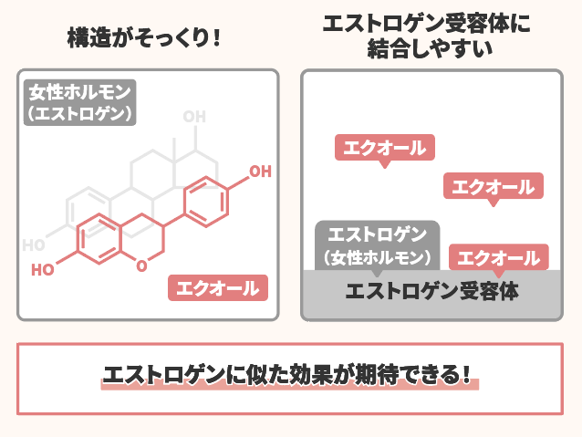 エクオールの構造を図で表している