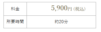 スケーリングの料金