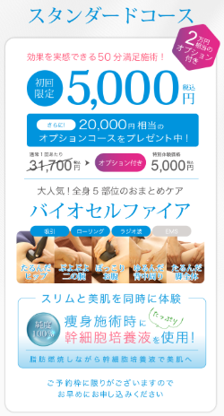 体験コースの案内