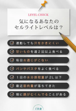 セルライトレベルの案内