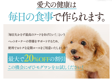 犬の画像