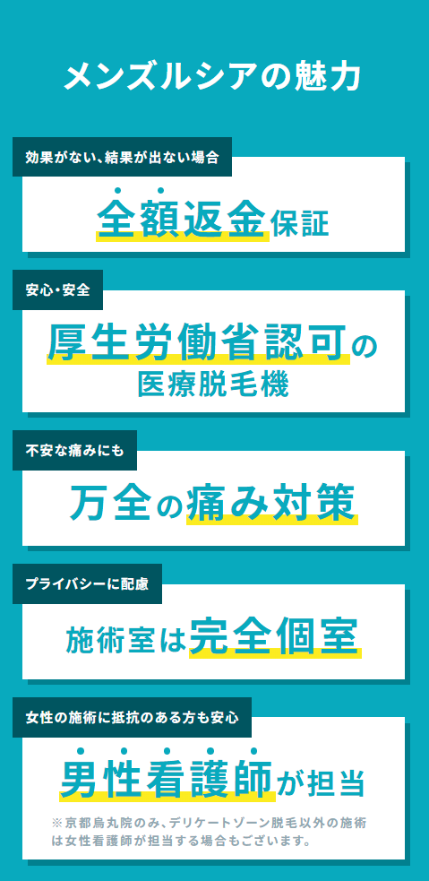 メンズルシアの魅力