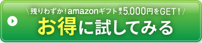 注文ボタン